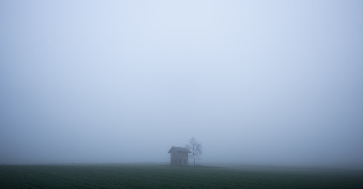découvrez vaud, un canton suisse alliant beauté naturelle et richesse culturelle. explorez ses paysages enchanteurs, ses charmants villages et son patrimoine historique, tout en profitant des activités de plein air et de la gastronomie régionale.