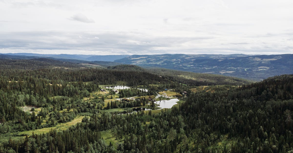 découvrez viken, une destination fascinante qui allie nature et culture. explorez ses paysages époustouflants, sa riche histoire et ses activités variées. parfait pour les amateurs d'aventure et de détente.