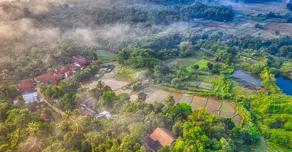 découvrez le charme authentique d'un village français, avec ses ruelles pittoresques, ses artisans passionnés et ses traditions ancrées. un lieu où la convivialité et la nature se rencontrent, invitant à l'exploration et à la découverte.