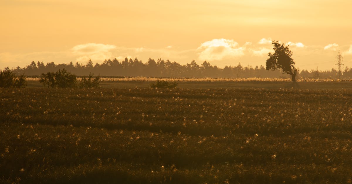 découvrez vysočina, une région pittoresque de la république tchèque, réputée pour ses paysages vallonnés, ses forêts luxuriantes et son riche patrimoine culturel. parfait pour les amoureux de la nature et les passionnés d'histoire.