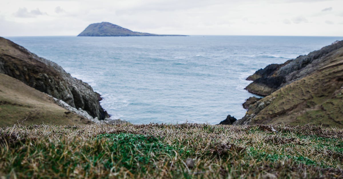 découvrez le pays de galles, un coin enchanteur du royaume-uni, célèbre pour ses paysages à couper le souffle, sa riche histoire, ses châteaux médiévaux et sa culture unique. explorez ses montagnes, ses côtes pittoresques et ses traditions vivantes à travers une expérience inoubliable.