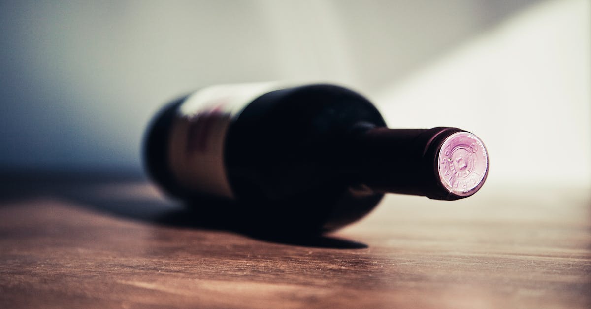 découvrez l'univers fascinant du vin : des cépages aux accords mets-vins, explorez les saveurs, les terroirs et les traditions viticoles qui font du vin une boisson d'exception. que vous soyez amateur ou expert, plongez dans l'art de la dégustation et l'histoire des grandes régions viticoles.