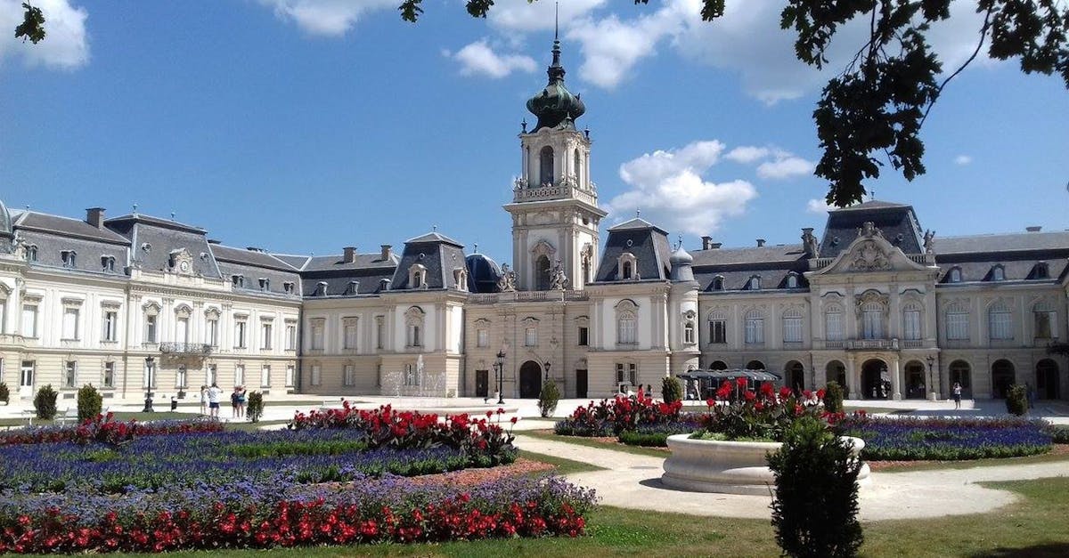 découvrez zala, un univers fascinant mêlant innovation et créativité. explorez nos produits uniques, conçus pour améliorer votre quotidien avec style et fonctionnalité. ne manquez pas l'opportunité de redéfinir votre expérience !