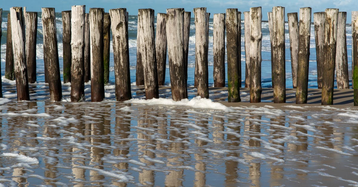 découvrez zealand, une destination unique alliant paysages à couper le souffle et une culture riche. explorez ses activités passionnantes, sa gastronomie savoureuse et les merveilles naturelles qui font de cet endroit un véritable paradis pour les voyageurs.