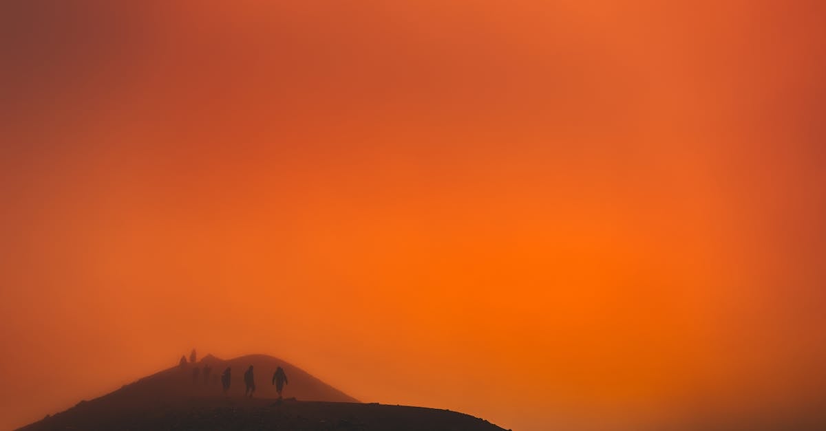 découvrez la magie de zealand, un lieu unique où la nature rencontre la culture. profitez des paysages époustouflants, des activités en plein air, et explorez l'héritage riche de cette destination fascinante.