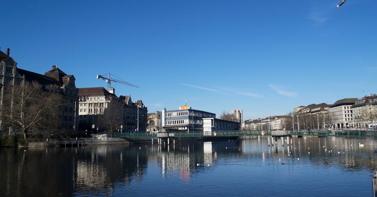 découvrez zurich, la plus grande ville de suisse, mélange parfait d'urbanité et de nature. explorez ses musées, ses restaurants raffinés, et profitez des paysages pittoresques autour du lac. zurich, un carrefour de culture et de modernité à ne pas manquer.
